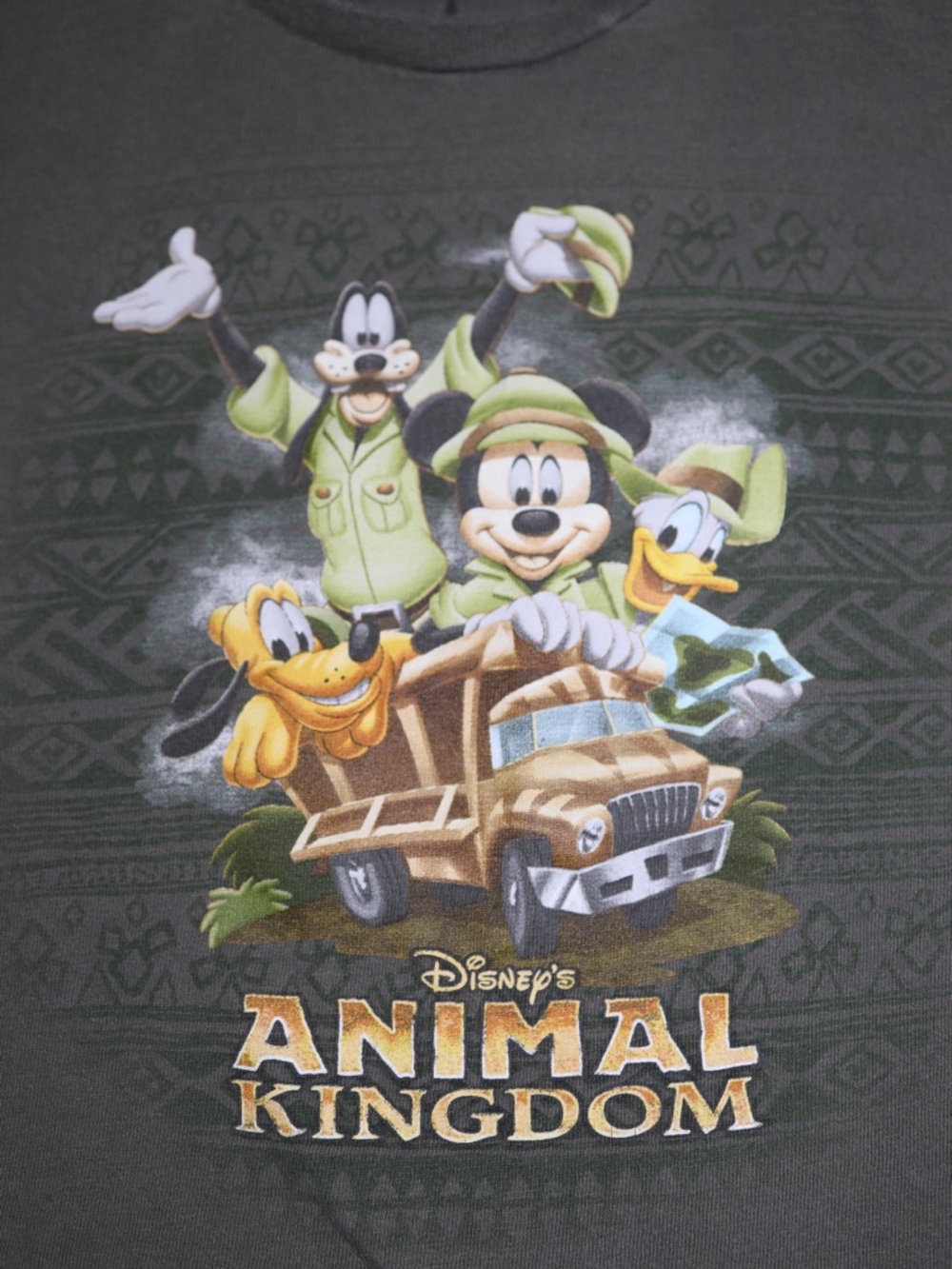Disney Animal Kingdom Safari Tee